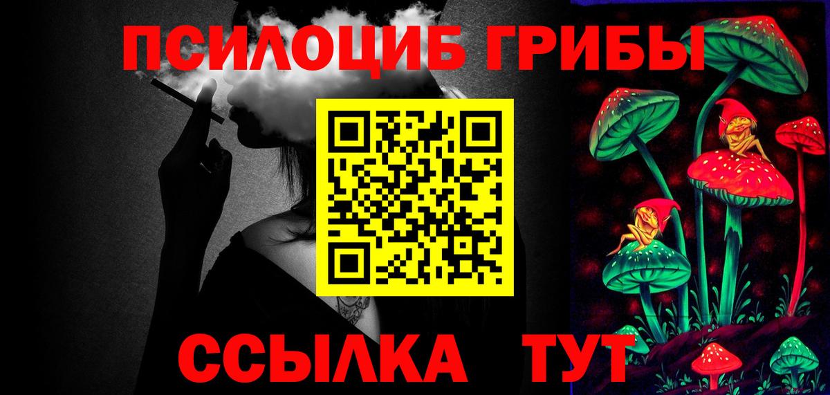 Галлюциногенные грибы Psilocybe Южно-Сахалинск