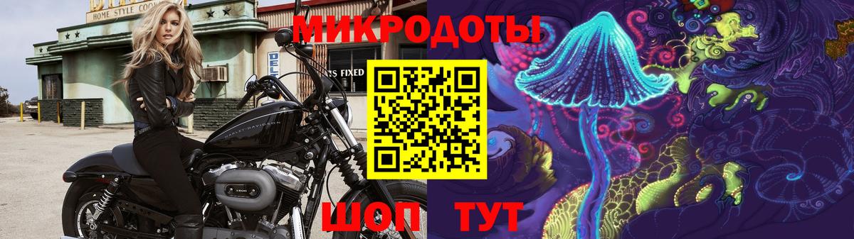 Южно-Сахалинск  Галлюциногенные грибы GOLDEN TEACHER  Вход с VPN  Галлюциногенные грибы ЛСД 